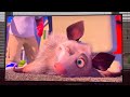 Over The Hedge Ozzie IPhone 6