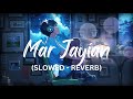 Mar Jayian song | SLOWED - REVERB | LOFI song | Vicky Donor | Ayushman Khurana