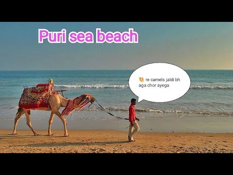 SEA BEACH VIDEO