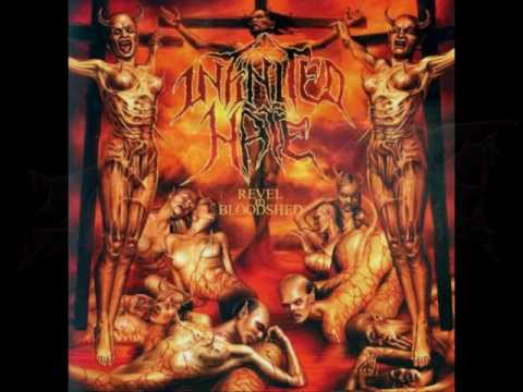 Infinited Hate - Ill-Formed Beast