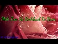Mile Tum Se Bichhad Ke Hum WhatsApp Status Video 30 Second