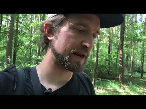 The BEST release strategy (single vs. EP vs. album)