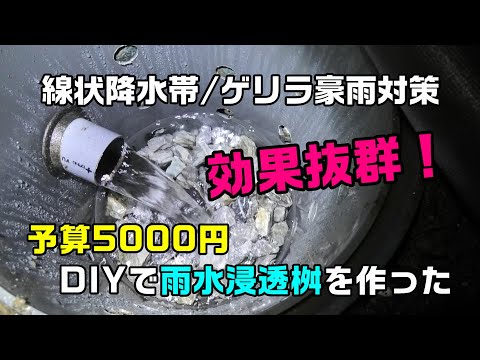 庭で雨水を利用するための 5 つのヒント