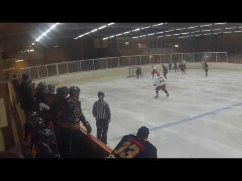 Graham Lermitte Ice Hockey Goaltender - ÖIF vs Stortorparna January 2017
