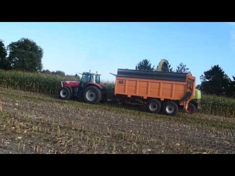 loonbedrijf Dirk Biermans aan het mais hakselen
