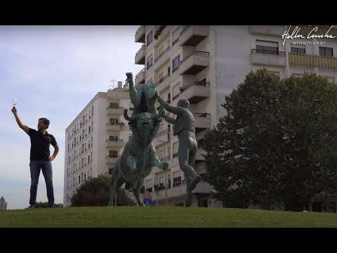 Na Terra do Vinho | Vinhos do Tejo | Hélder Cunha Winemaker - Powered by Casca Wines