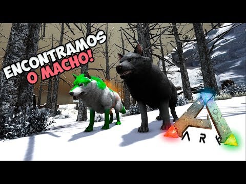 ARK PaD: VIDA DE LOBO  ep.02 --- CONSEGUIMOS O CASAL!!