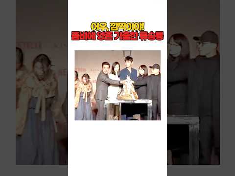 이미지