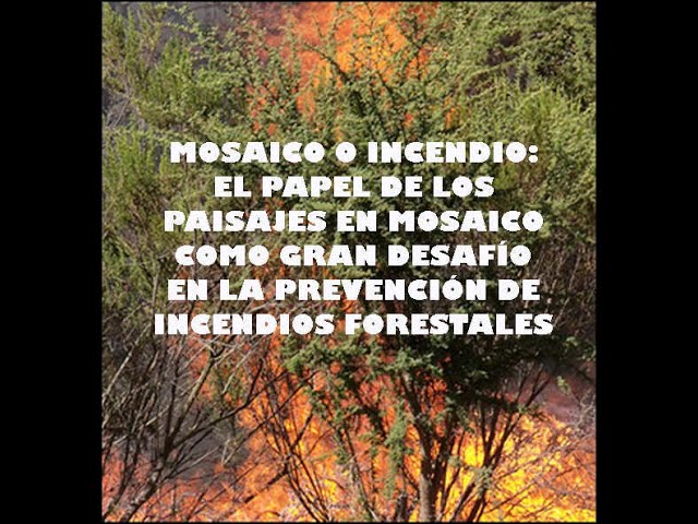 youtube video id=XgKU9o8UbpM