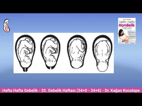 Gebelikte 35. hafta (34+0-34+6) belirtileri. Anne adayı ve bebekte değişiklikler, doğum önerileri