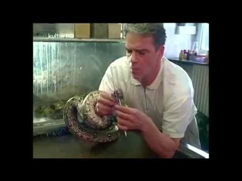 Unsere Hagenbecks 27   Jede Menge Pläne Staffel 3 Folge 1 HQ Serie 1994