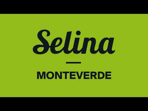 Un Rojo Reggae Band + Marvin Selector | Selina Monteverde
