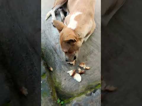 #subcribe #plz #good morning