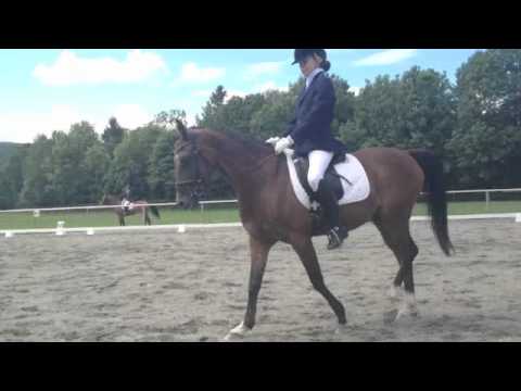 Caroline Ellingsen Kjelsaas og Cassanova LA2 stallstevne 1