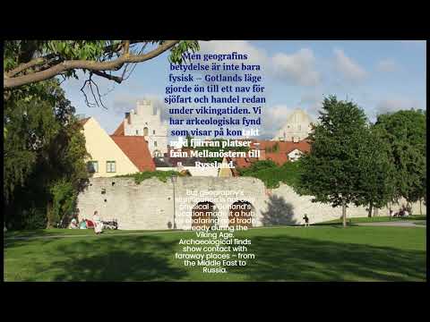 Speak Swedish While Exploring Gotland! 🎓🇸🇪🛶  #TalkSwedish #GotlandAdventure  #SwedishLearning