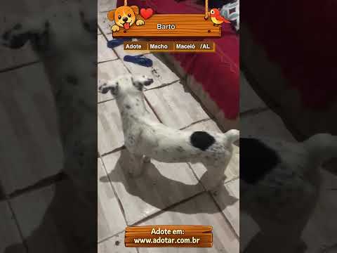Vídeo de Bartô