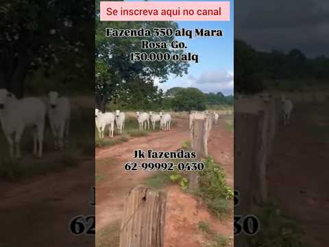 Excelente fazenda de 350 alqueires em Mara Rosa #brasil #fazenda #pecuarista #mercadoagricola #agro