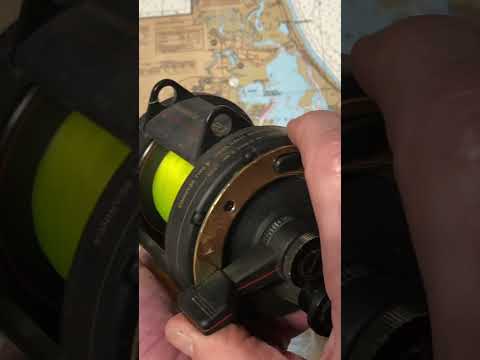 Shimano TLD 20 fishing reel of the day #fishing #reel