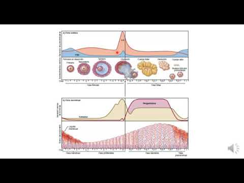 9 Control hormonal del ciclo menstrual