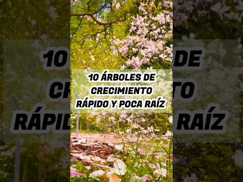 , title : 'Top 10 árboles de crecimiento rápido y poca raíz #naturalezaactiva #plantas #jardin #huertourbano'