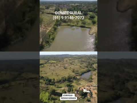 VENDA FAZENDA CURVELO - MG #curvelo #minasgerais #fazendadegado #pirapora  #venda #saopaulo #gado