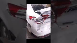 カンガルーバーは飾りじゃない[TikTok]