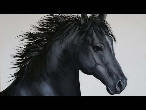 download lagu mp3 mp4 How Long Do Paint Horses Live, download lagu How Long Do Paint Horses Live gratis, unduh video klip How Long Do Paint Horses Live