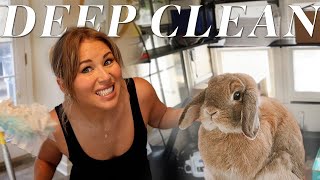 BUNNY SPRING CLEANING! Organizing the Bunny Room, Cinnabun's Shed & More