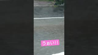 7月の最後のこれはびっくらぽんや!! #Shorts