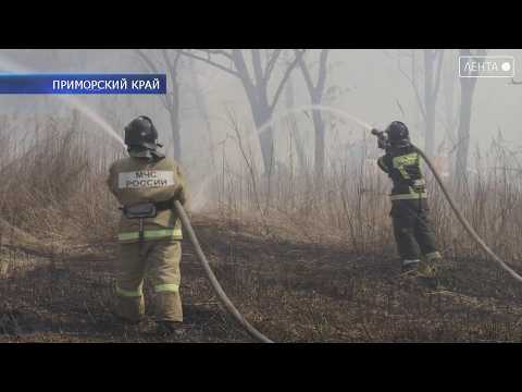 Только за последние сутки в регионе зафиксировано 17 природных пожаров