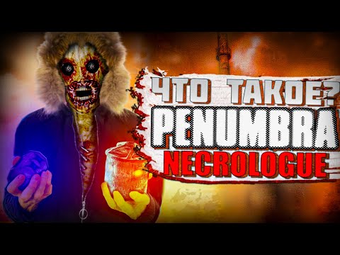 What is Penumbra: Necrologue?