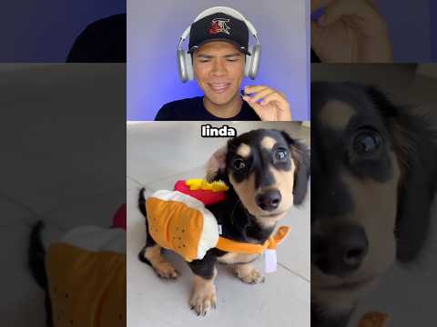 A Melhor Fantasia 😍 (@salsicha.chica)