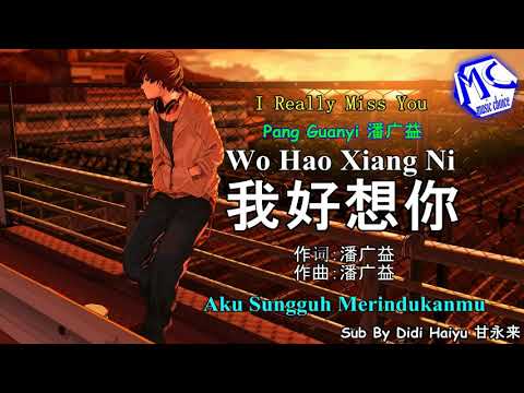 Wo Hao Xiang Ni (aku sungguh merindukanmu)