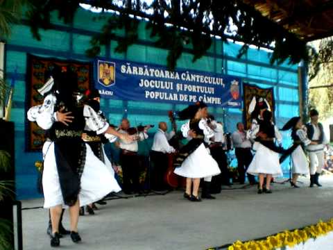 Ansamblul Muresul - Raciu 20 iulie 2011 - 03