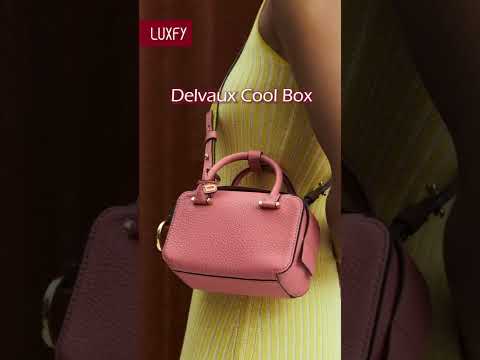 5 bolsas Delvaux que valem a pena colecionar #shorts