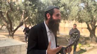 החתם סופר קורא לעלות להר השם! דבריו הנפלאים על הפסוק "בהר ה' יראה" | הרב אלישע וולפסון (ישיבת הר הבית) - התמונה מוצגת ישירות מתוך אתר האינטרנט יוטיוב. זכויות היוצרים בתמונה שייכות ליוצרה. קישור קרדיט למקור התוכן נמצא בתוך דף הסרטון החתם סופר קורא לעלות להר השם! דבריו הנפלאים על הפסוק "בהר ה' יראה" | הרב אלישע וולפסון (ישיבת הר הבית) - התמונה מוצגת ישירות מתוך אתר האינטרנט יוטיוב. זכויות היוצרים בתמונה שייכות ליוצרה. קישור קרדיט למקור התוכן נמצא בתוך דף הסרטון