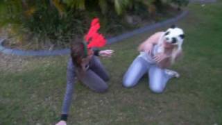 C.C.C. Pee in the Shower