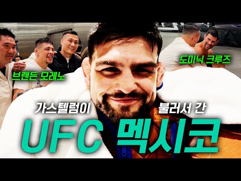 멕시코에서 이렇게 인기가 많은 줄 몰랐습니다