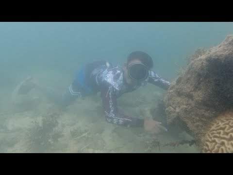 SE02EP068 Part 2 - SISID MARINO para sa LOBSTER | ILALIM ng MALAKING BATO | BUHAY ISLA