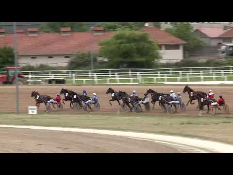 2020.05.23. 04. futam - NYERETLEN HÁROMÉVESEK VERSENYE II. RÉSZ