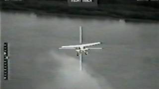 Mother and Infant Shot Out of the Sky