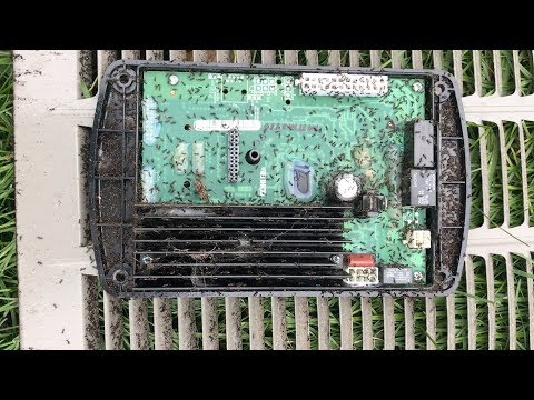 Generator Invaded By Ants