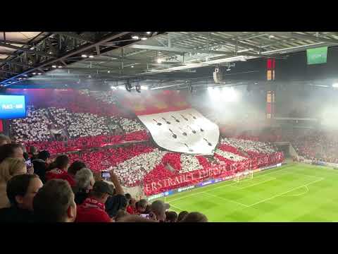1.FC Köln Choreo und Pyro vs. Partizan Belgrad