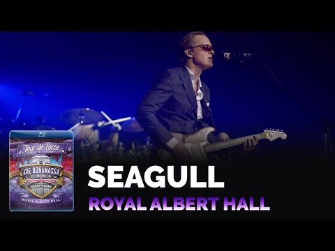 Joe Bonamassa Official - "Seagull" - Tour de Force: Royal Albert Hall