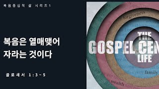 [복음중심적 삶]  복음은 열매맺어 자라는 것이다