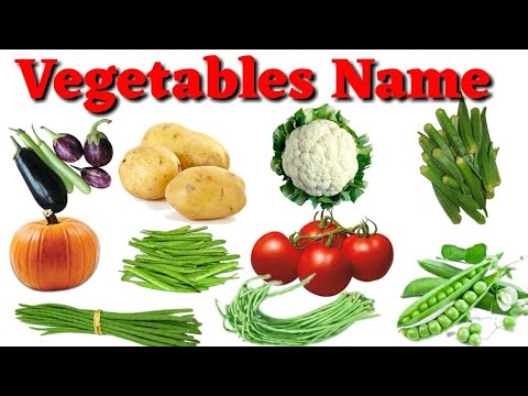 download lagu mp3 mp4 Indian Vegetable Names In English And Hindi With Picture, download lagu Indian Vegetable Names In English And Hindi With Picture gratis, unduh video klip Indian Vegetable Names In English And Hindi With Picture