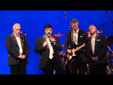 Vito Picone & The Elegants - Can't Help Falling In Love