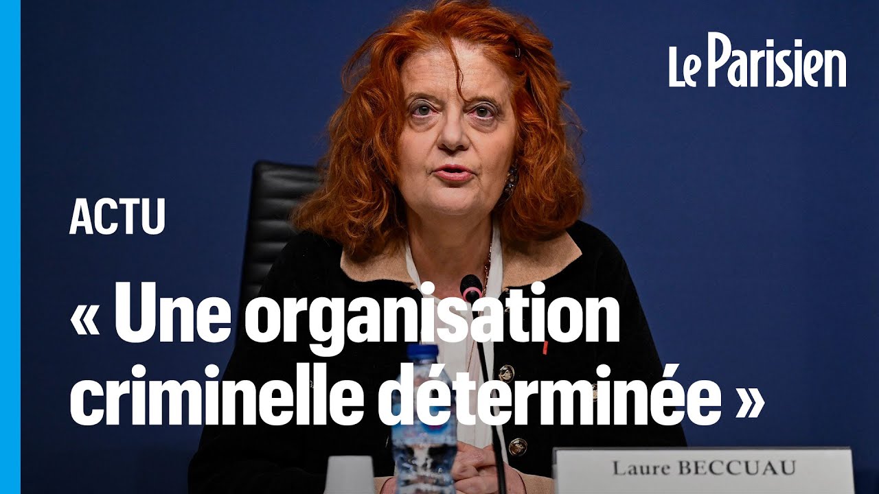 Arrestation de Mohamed Amra : les révélations de la procureure de Paris