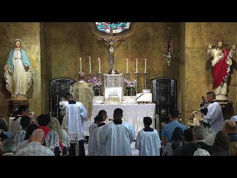 10:30 am Missa Cantata - Dominica IV Post Pascha