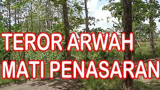 Download lagu 🔴LIVE JIMAT 2 PEBRUARI 2023 (PART 2 ) mp3 Download lagu 🔴LIVE JIMAT 2 PEBRUARI 2023 (PART 2 ) mp3